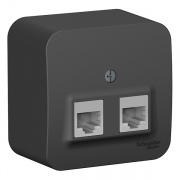 Розетка 2-ая компьютерная RJ45 кат.5E Blanca Schneider Electric антрацит изол.пластина