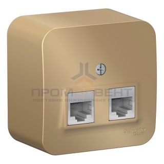 Розетка двойная RJ45 + RJ11 Blanca Schneider Electric титан изол.пластина